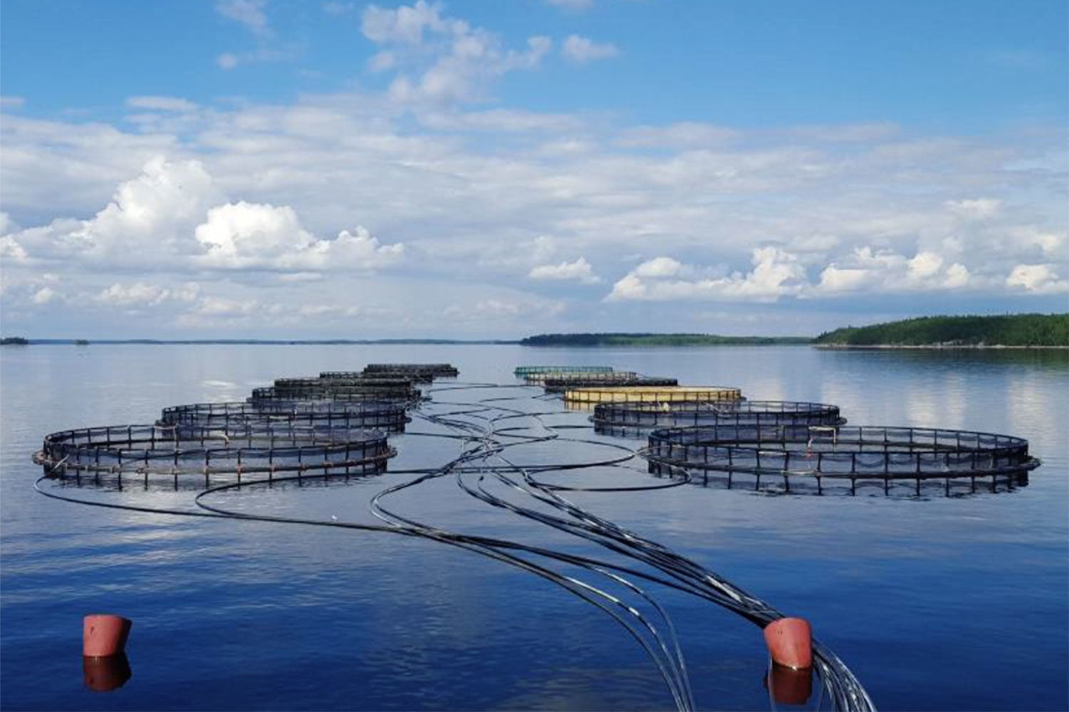 Инарктика показала убыток в 2,24 млрд рублей по итогам 2025 года