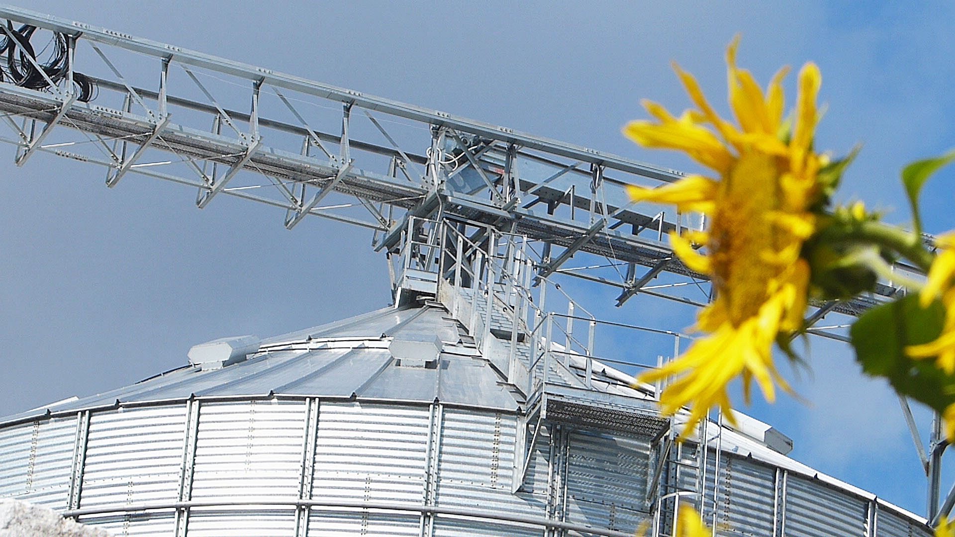 НКХП показал снижение прибыли и выручки в 2025 году