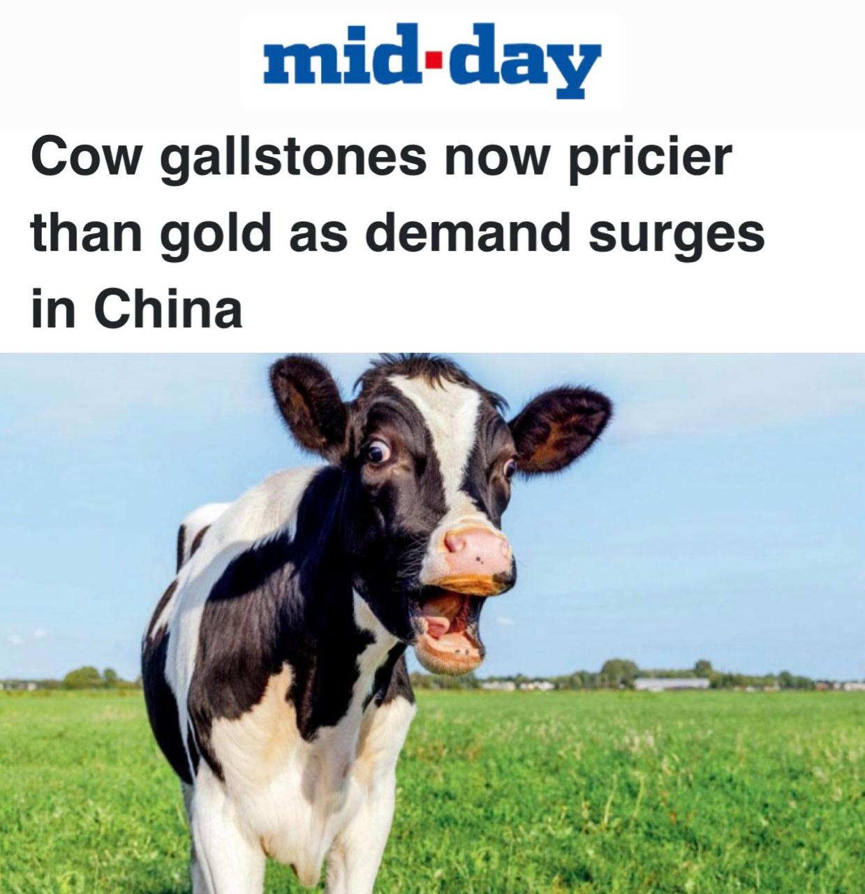 Коровьи желчные камни стали вдвое дороже золота из-за спроса в Китае