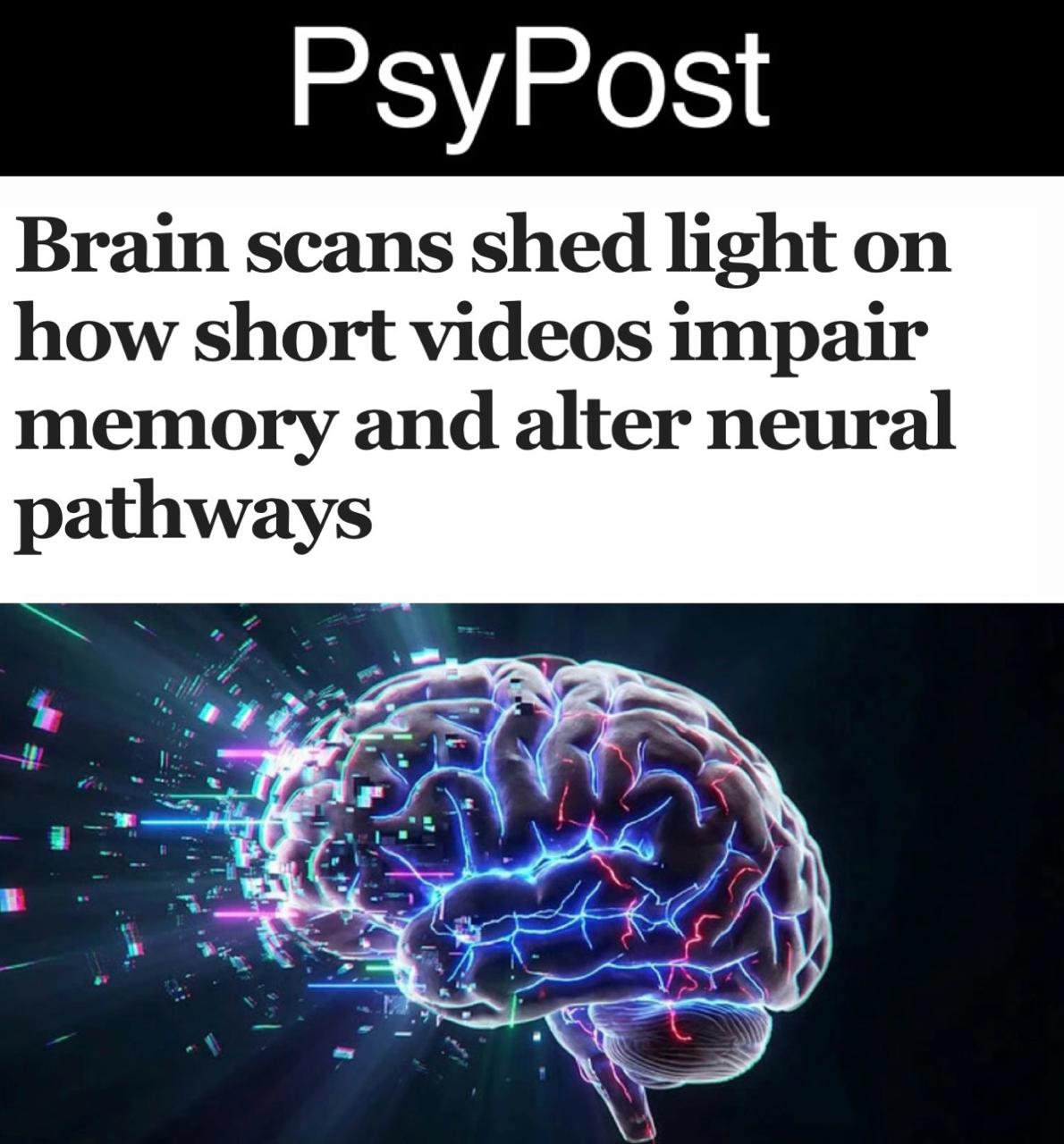 Учёные выяснили, как рилсы влияют на память и мозг