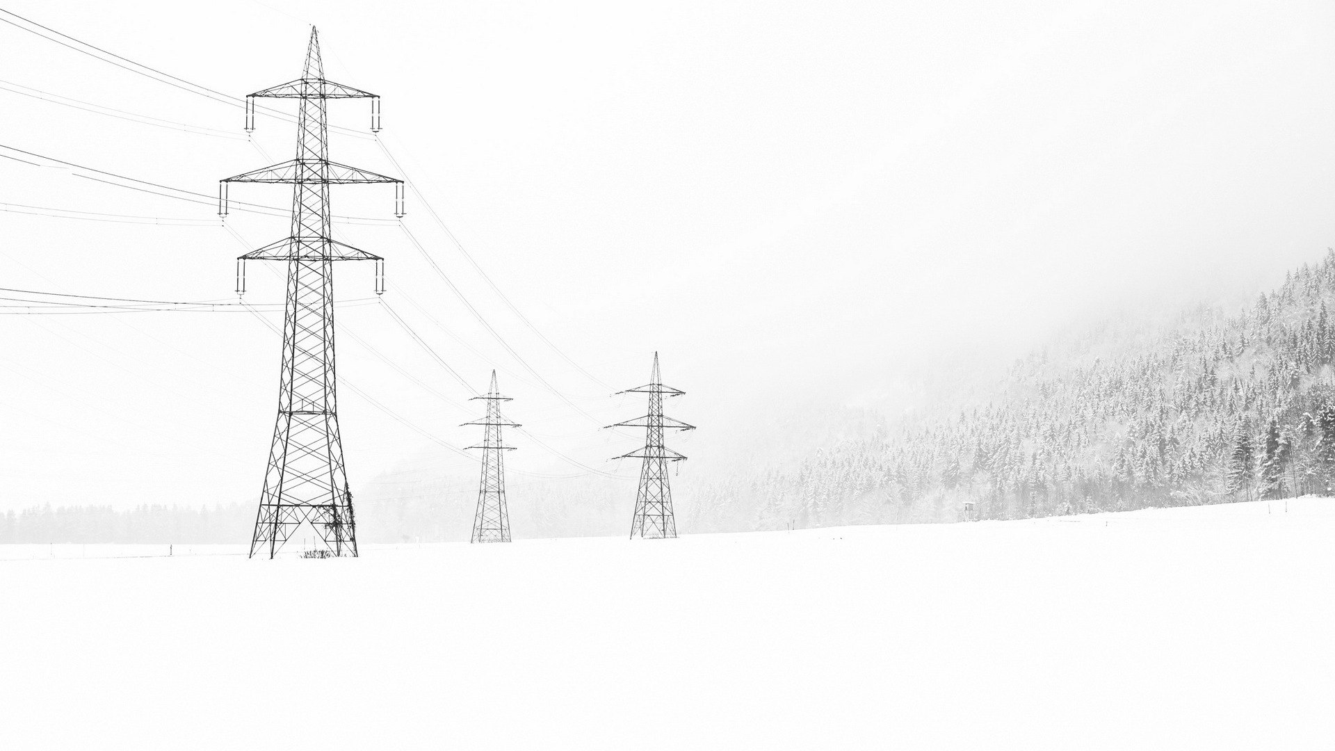 Россети Северо-Запад показали рост прибыли в 2025 году