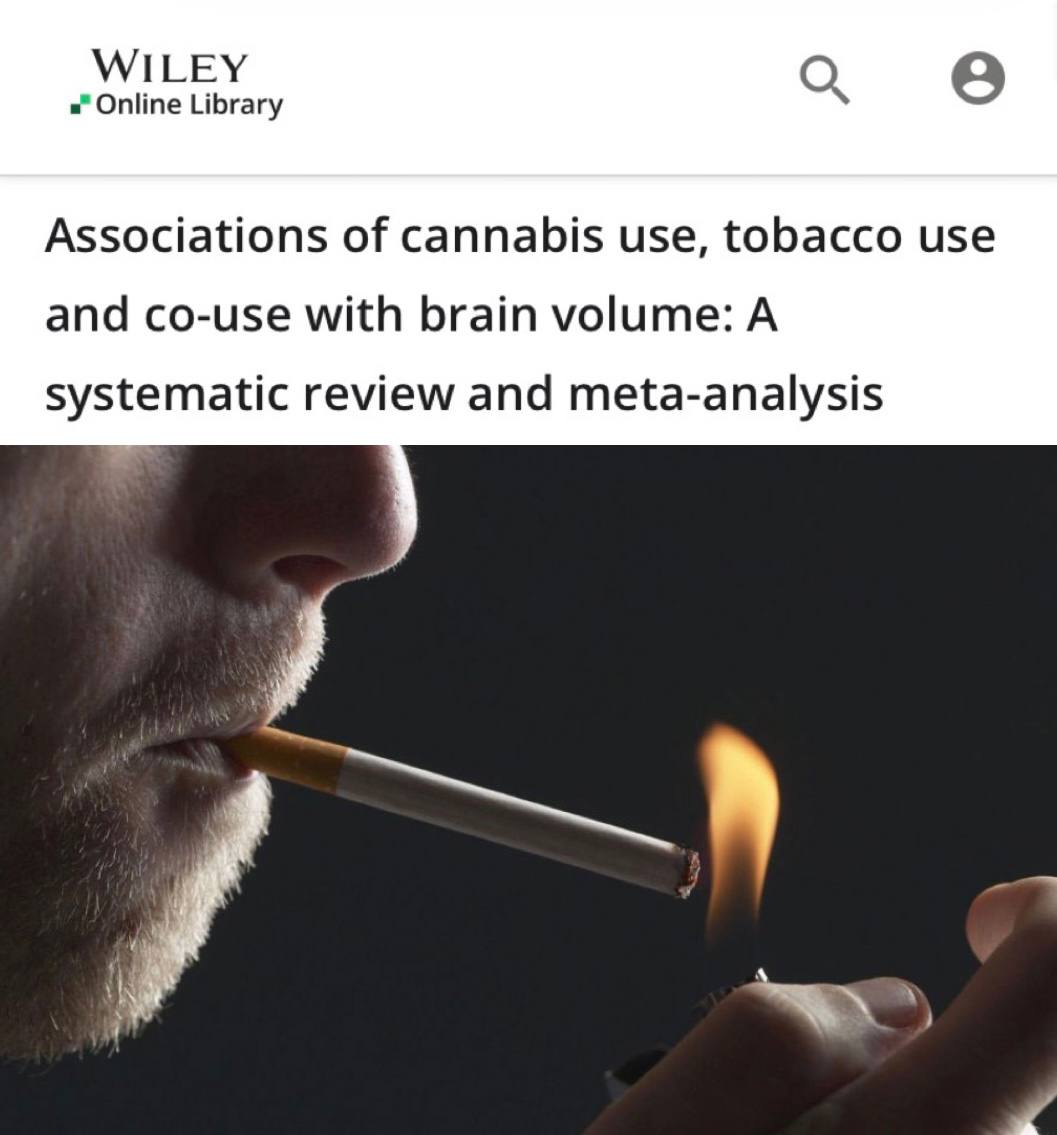 Курение табака и каннабиса связано с уменьшением объёма мозга
