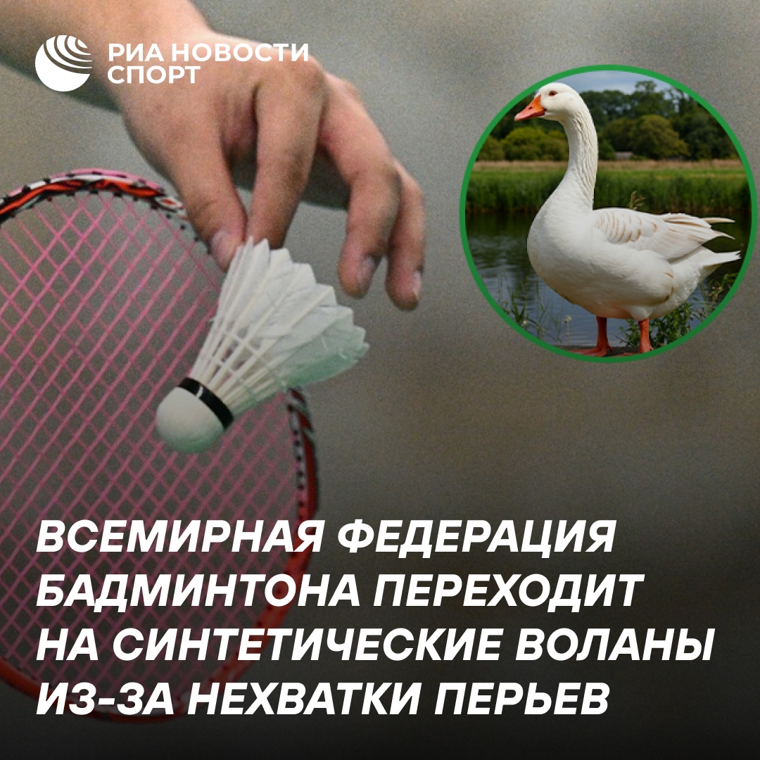 Бадминтон переходит на синтетические воланы из-за дефицита перьев