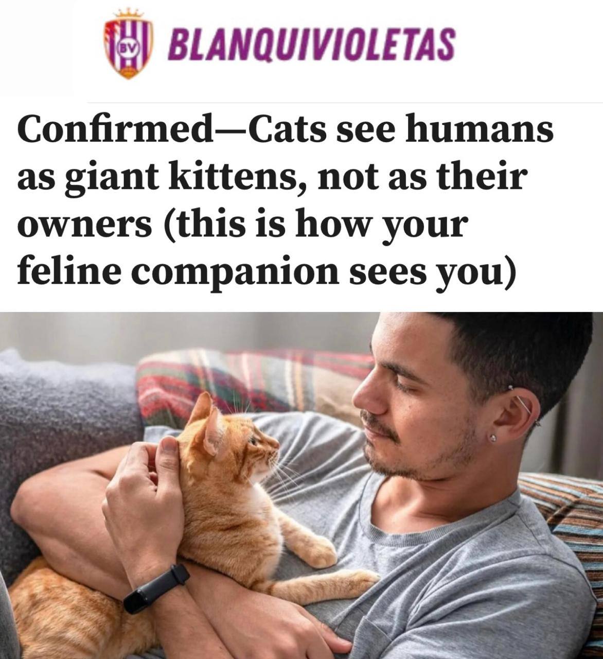 Кошки видят в людях больших сородичей, а не хозяев