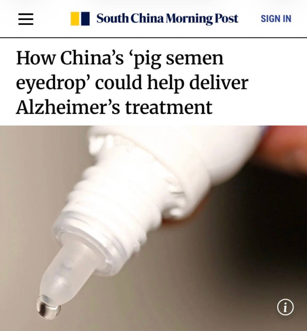 Китайские учёные создали глазные капли из свиных экзосом для лечения мозга