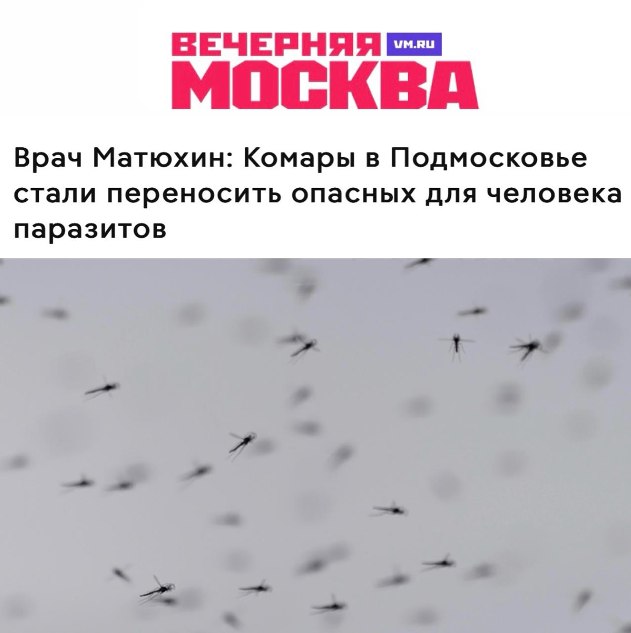 Комары в Подмосковье стали переносить опасных паразитов