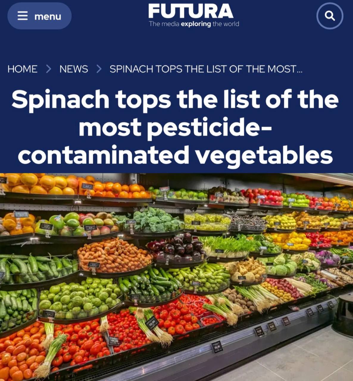 Шпинат: польза и риски для здоровья