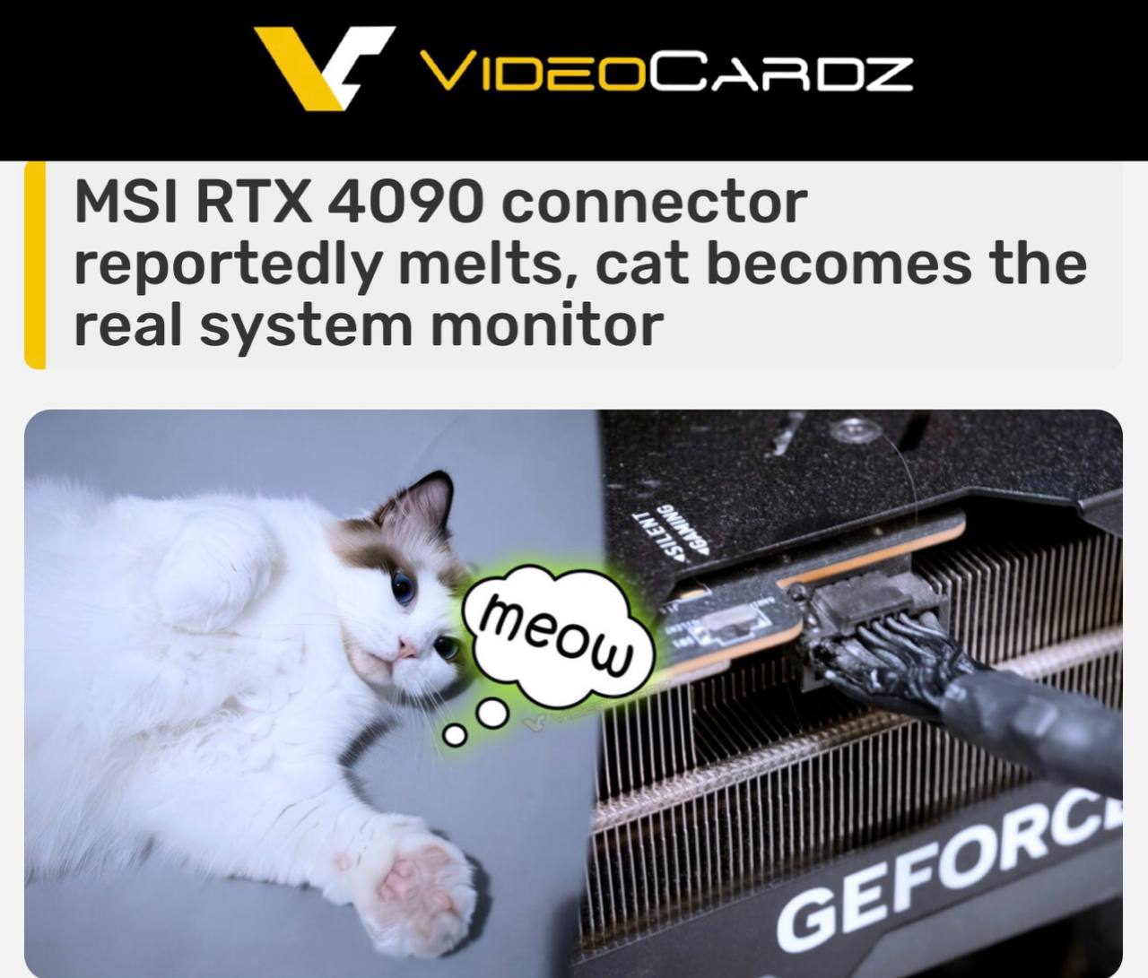 Кошка спасла компьютер от пожара из-за перегрева видеокарты
