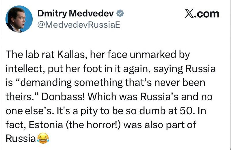 Медведев раскритиковал заявление Каллас о Донбассе