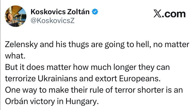 Венгерский аналитик о Зеленском и роли Орбана